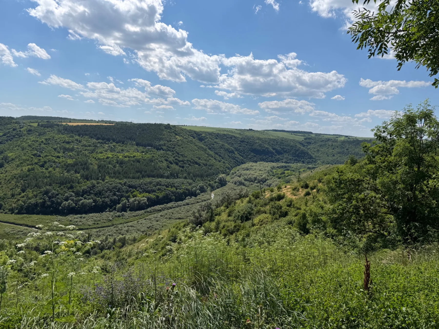 Dniester Canyon near Green Harbor