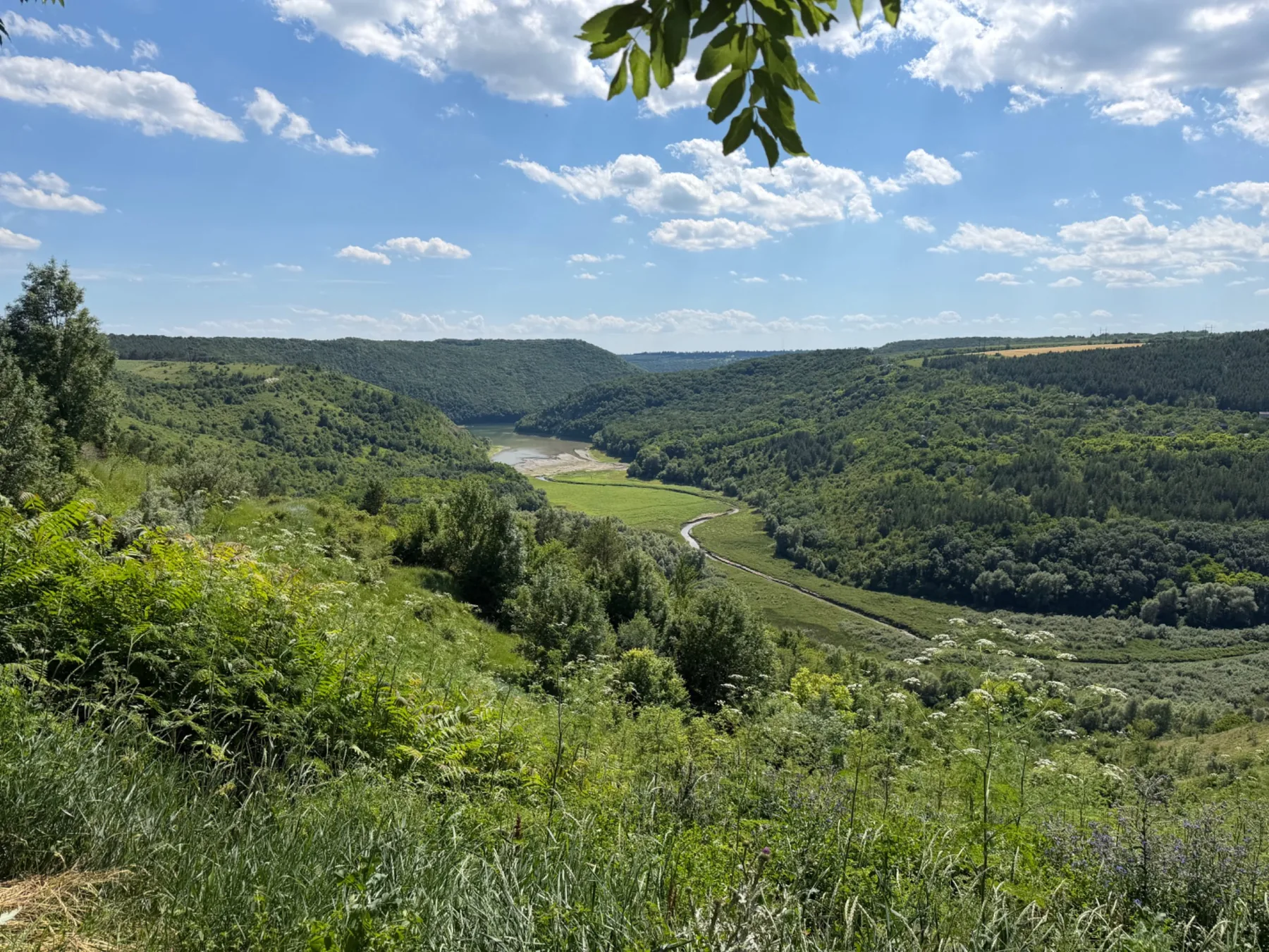 Green Dniester landscape