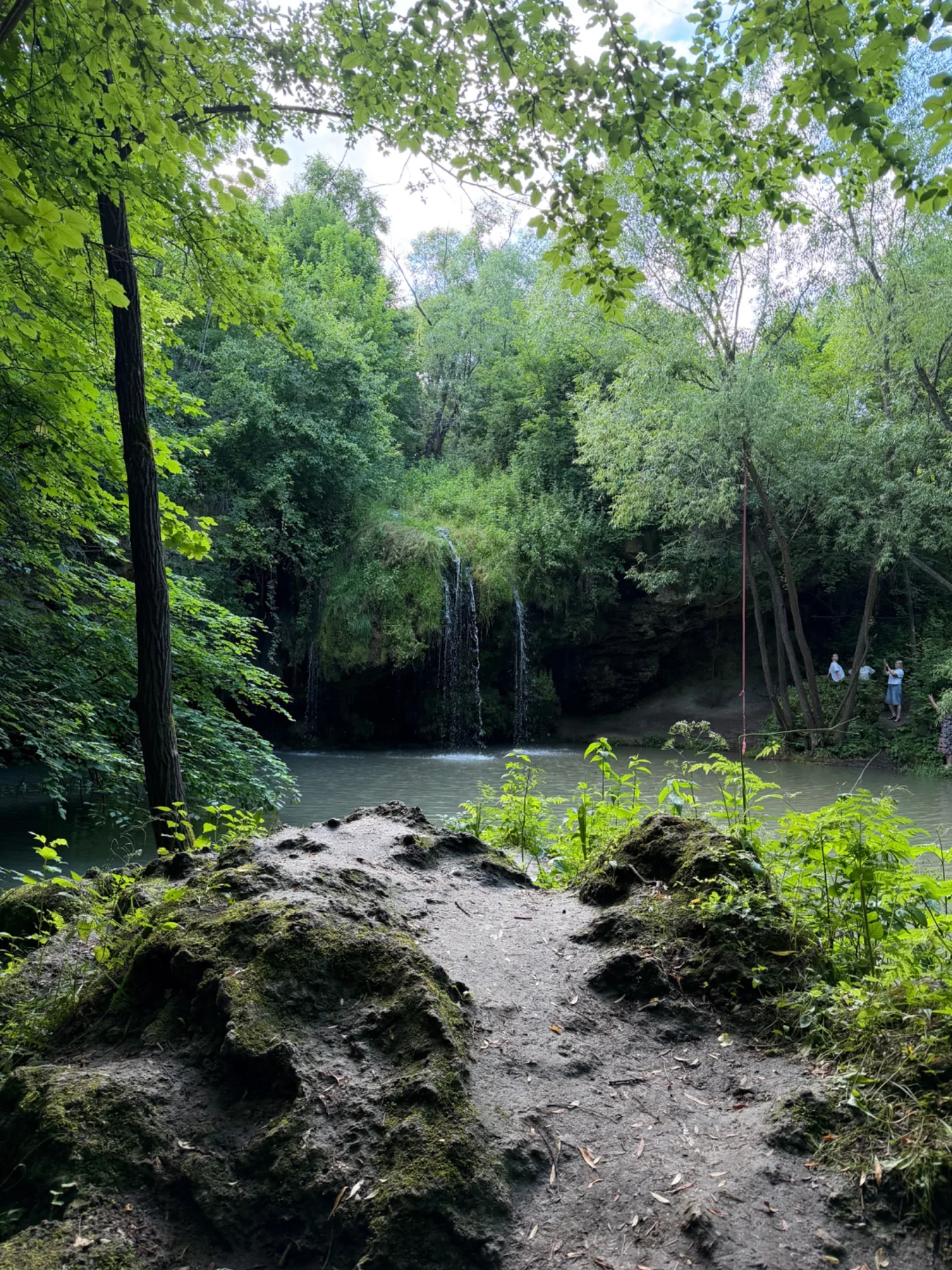 Forest waterfall near the project area